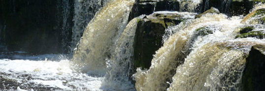 Aysgarth Upper Falls