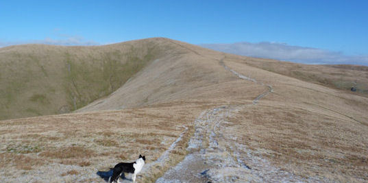 The walk to come on the Howgills ridge