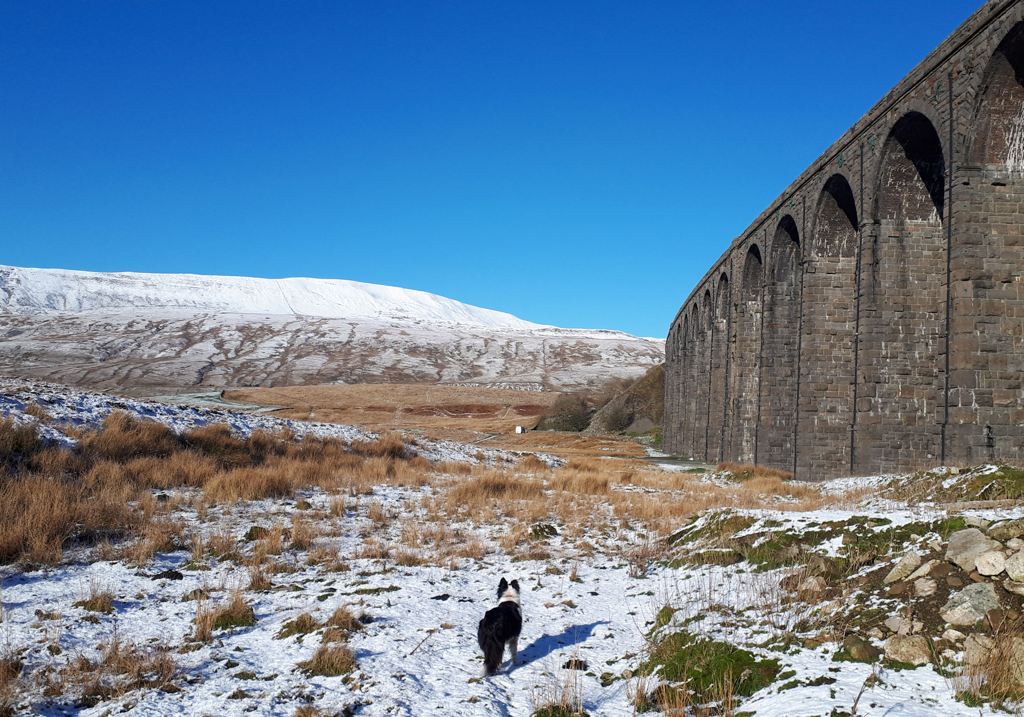 Ribblehead in the snow