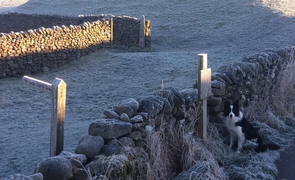 Waiting at the stile