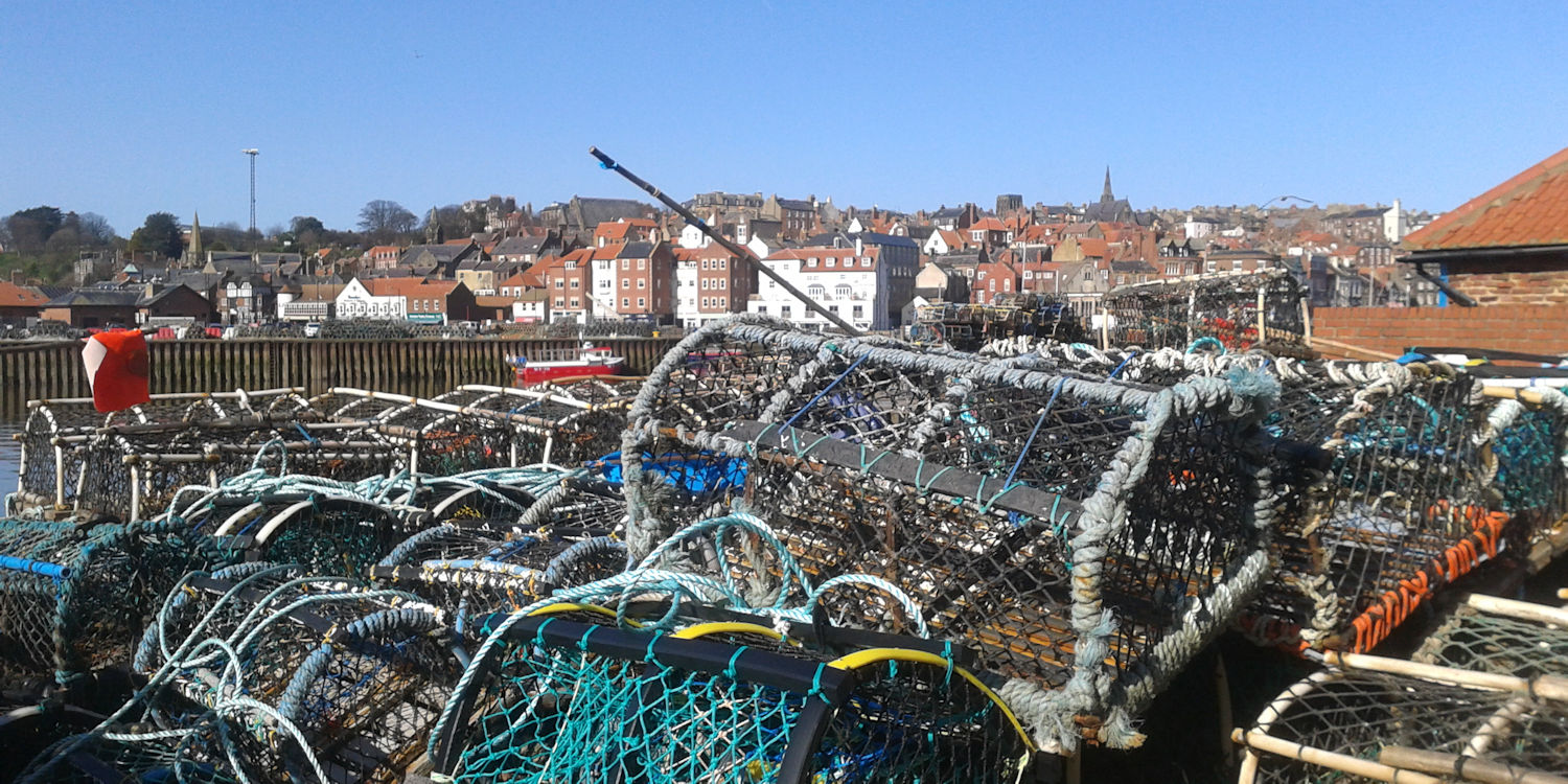 Whitby crab baskets